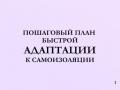 Срочно читать всем самоизолированным!